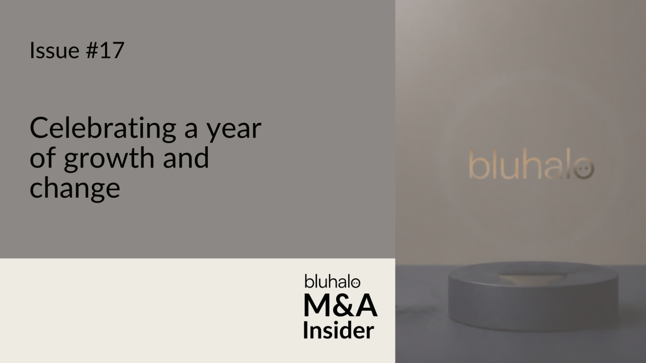 Celebrating a Year of Growth and Change: M&A Insider, Issue 17